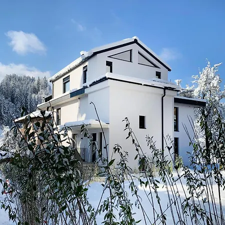 Lukasfeld 9 Franz Hopfgarten im Brixental